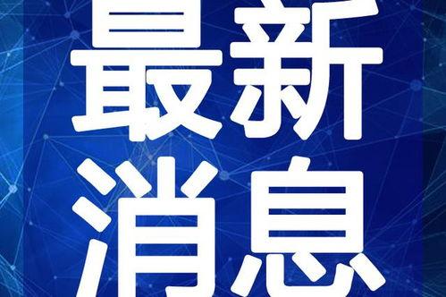 潮州爆料大宝视频最新消息,大宝视频最新动态，揭秘幕后真相！